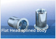 Flat Head Splined Body Rivet Nuts