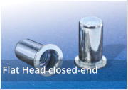 Flat Head Closed End Rivet Nuts