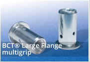 Optinut Large Flange Head Multi Grip Range Rivet Nuts